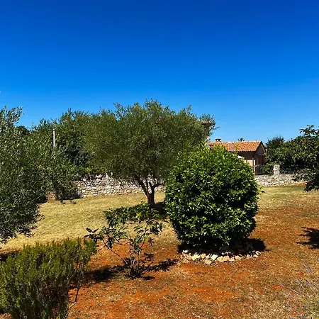 Koronsovac House With 4 Апартаменти